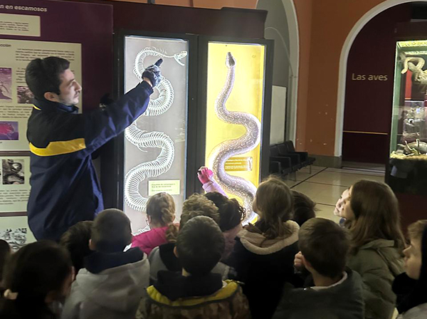 Aprendiendo fuera del aula